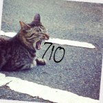 11078674_1568518700086106_1363655103_a