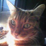 Profile_253935187_75sq_1383659499