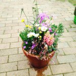 11190254_1446616878973917_185176541_a