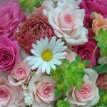 Profile_983643839_75sq_1396196162