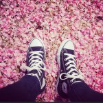 11263570_870301976373436_873677413_a