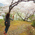 11244629_779799325468957_1855236580_a