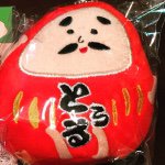 11282722_376123622575413_35117813_a