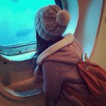 11240736_1634914316742180_207613780_a