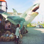 11296700_1573505209575741_1817108493_a