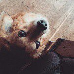 10950632_921617657863201_249823769_a