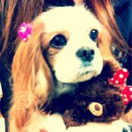 11386563_649288285172656_1194849816_a