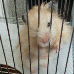 10691820_511537839002114_1742429961_a