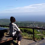 11376423_852862161436145_835706987_a