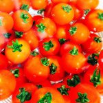 11330591_104240993247264_1756375000_a