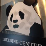 10890738_327383730782295_1899252784_a