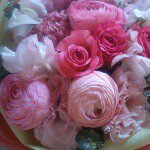 11123702_554268181380102_778039460_a