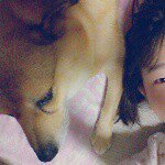 11116707_816437678431803_1527833754_a