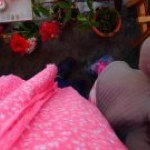 Profile_522624124_75sq_1377382730