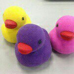 10735224_1527497210820660_404184858_a