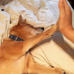 10748382_354031741442984_973375369_a