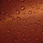 Profile_16159345_75sq_1324471979