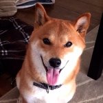 10453961_249463841844422_138571149_a