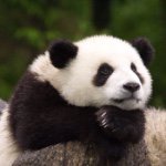 10890683_567135090053643_860144798_a