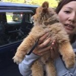 10483550_755173201195784_1576733695_a