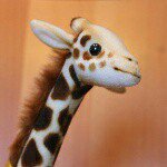 10963904_1589598574586541_119702568_a