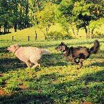 Profile_315196666_75sq_1399636178