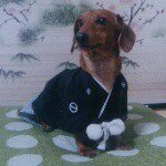 924457_773021229419905_862724880_a