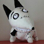 10802700_1566575390231411_672912208_a