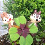 11176020_1817256805165530_1087914070_a