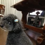 926460_292152460949038_1480964050_a