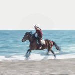 11374663_1380716298902456_1898261624_a