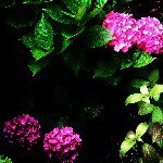 11325366_953483824701743_1391407120_a