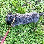 Profile_1073707870_75sq_1391796957