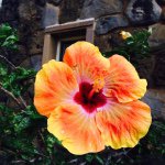 11351681_865458390176490_282707787_a