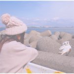 11055676_1547003648885330_1979145698_a