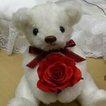 10948939_1583101368570405_1878520313_a