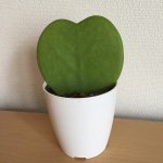 10723965_771741289578861_494995551_a