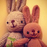 11055478_1563328783927563_2048022003_a