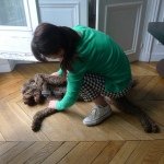 925348_250071248526053_848176788_a