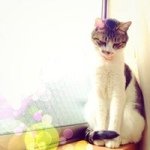 10570011_431236273684763_2146768451_a