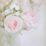 10895498_838213266217704_774466090_a