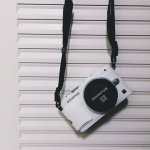 11351009_1589821034639486_1553114685_a