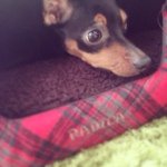 Profile_11927903_75sq_1396531851