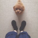 11189818_1580506418865677_1979309566_a