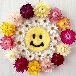 10802670_320737178128460_1035905301_a