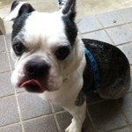 Profile_3839457_75sq_1370362759