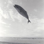 10369370_778207705546867_2080249674_a