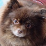 10950441_1380275298950182_1523969382_a