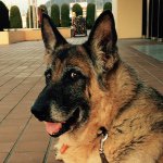 1171231_1611357002437184_1953031707_a