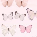 Profile_432616874_75sq_1382960304